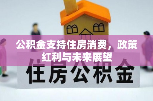 工农公积金支持住房消费，政策红利与未来展望