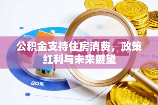 工农公积金支持住房消费，政策红利与未来展望