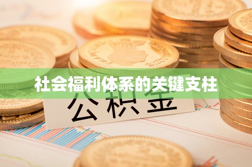 工农社会福利体系的关键支柱