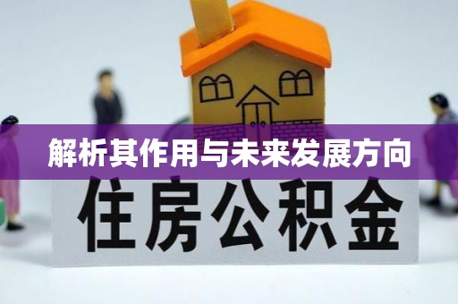 工农解析其作用与未来发展方向